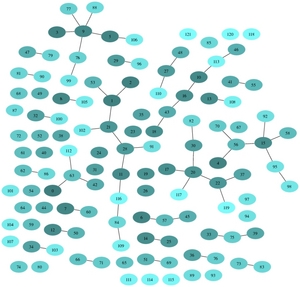 Ambiguous InParanoid clusters